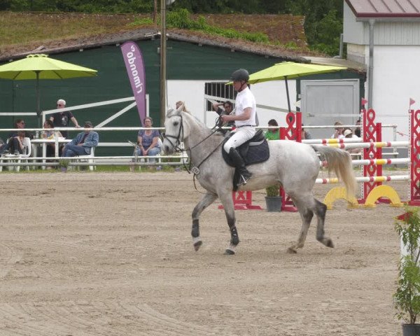 Reitturnier Billigheim 2023