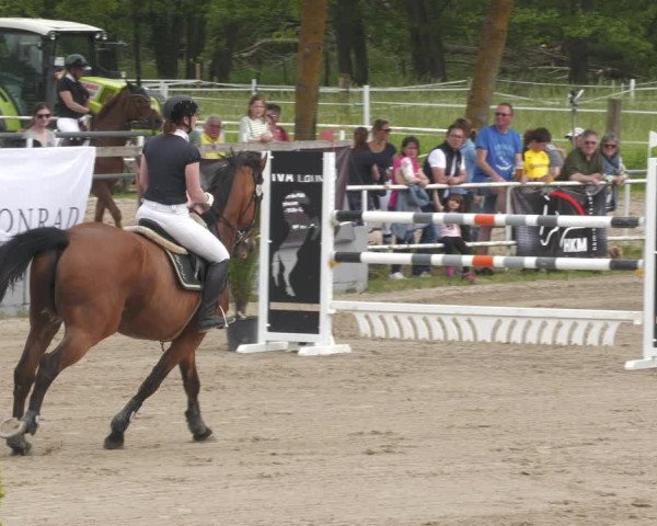 Reitturnier Billigheim 2023