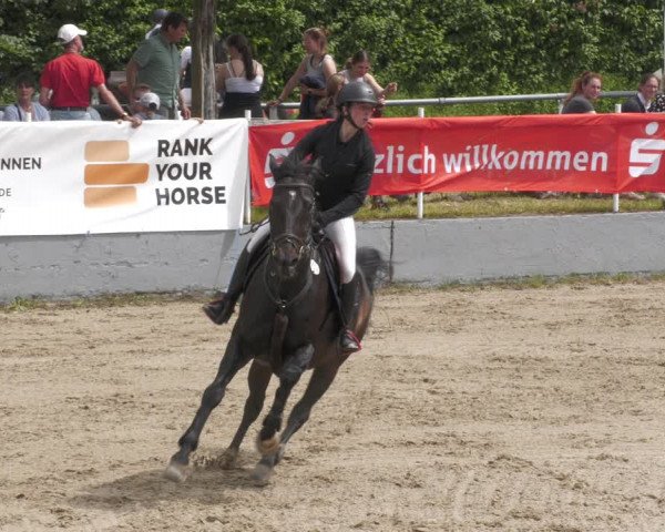 Reitturnier Billigheim 2023