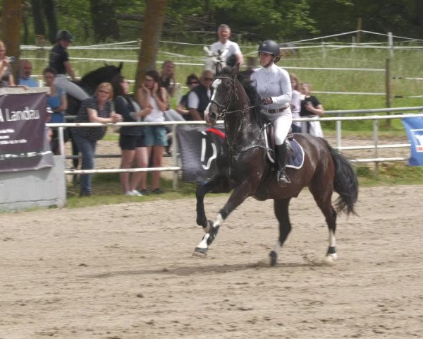 Reitturnier Billigheim 2023