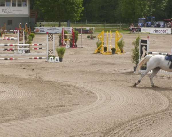 Reitturnier Billigheim 2023