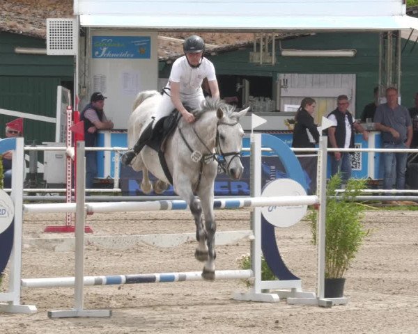 Reitturnier Billigheim 2023
