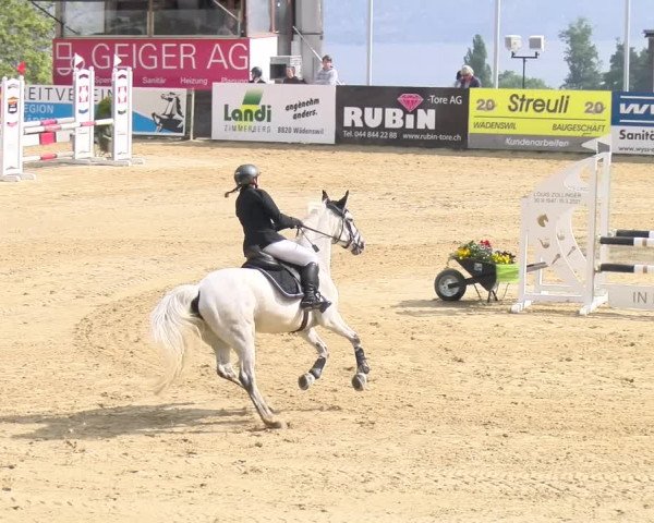 Reitturnier Wädenswil 2023