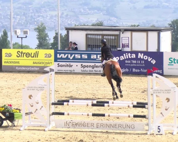 Reitturnier Wädenswil 2023
