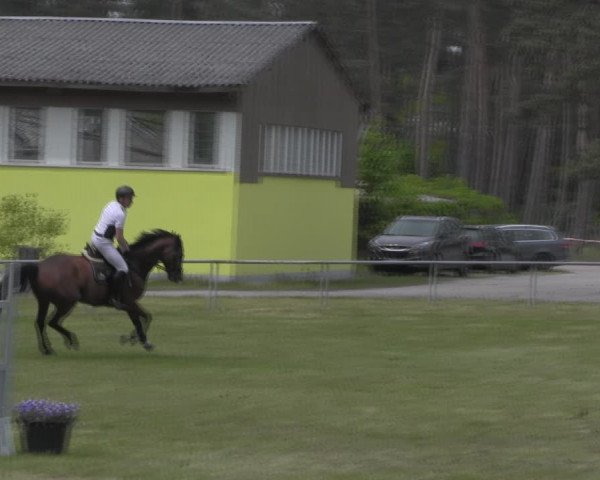 Reitturnier Kakerbeck 2023