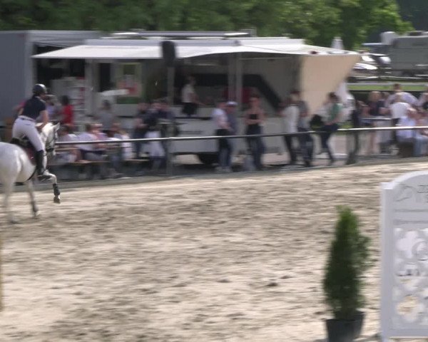 Reitturnier Hamm- Rhynern 2023