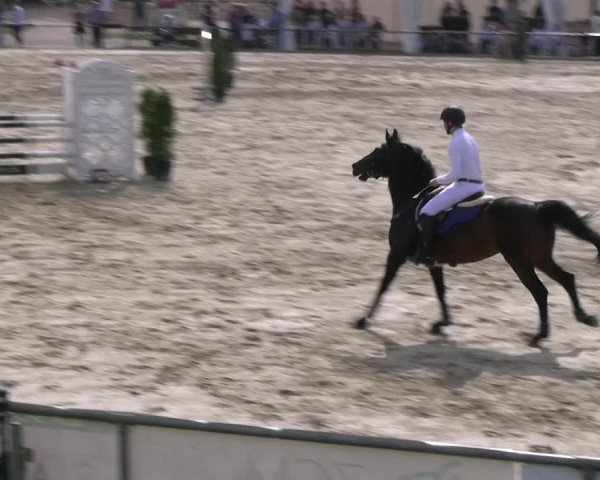 Reitturnier Hamm- Rhynern 2023