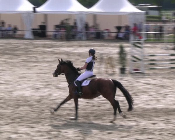 Reitturnier Hamm- Rhynern 2023