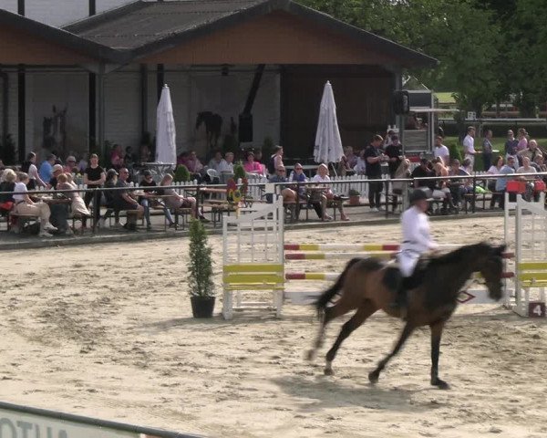 Reitturnier Hamm- Rhynern 2023