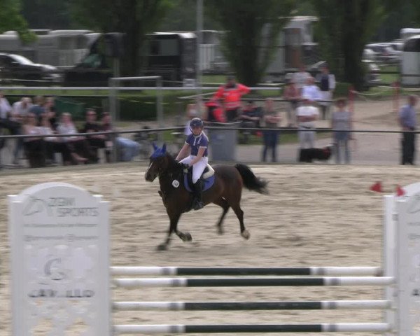 Reitturnier Hamm- Rhynern 2023