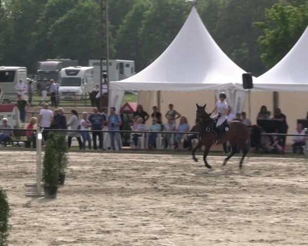 Reitturnier Hamm- Rhynern 2023