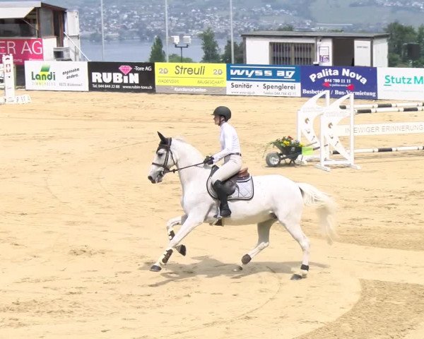 Reitturnier Wädenswil 2023