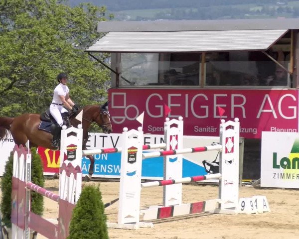 Reitturnier Wädenswil 2023