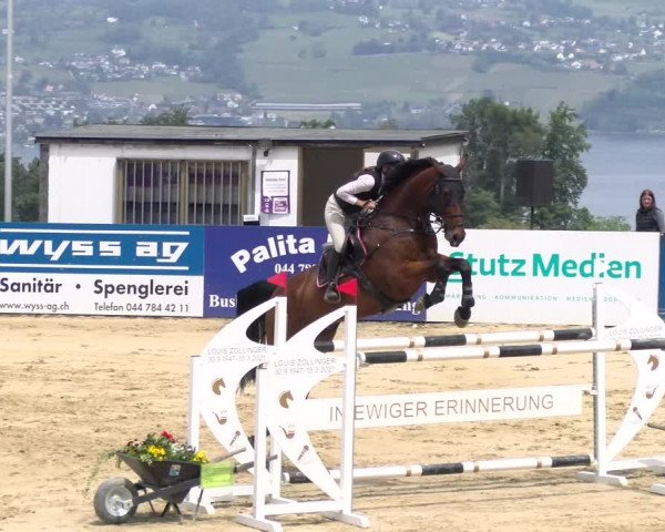 Reitturnier Wädenswil 2023