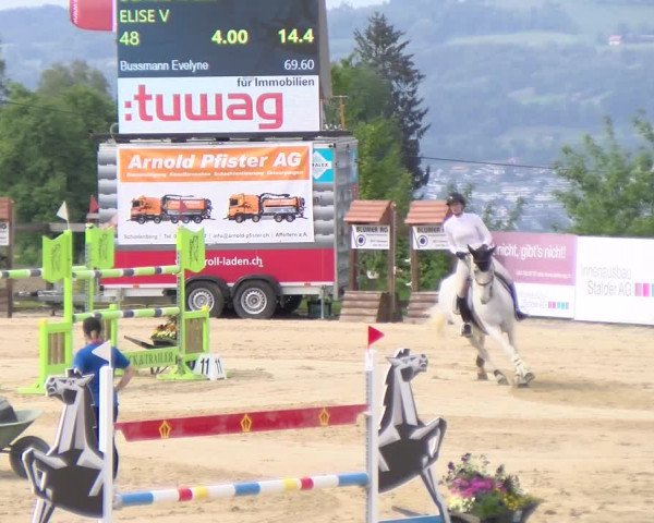 Reitturnier Wädenswil 2023
