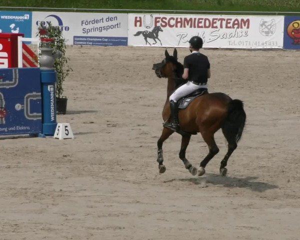 Reitturnier Harsum-Hüddessum 2023