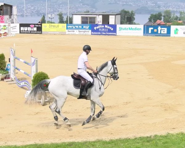 Reitturnier Wädenswil 2023