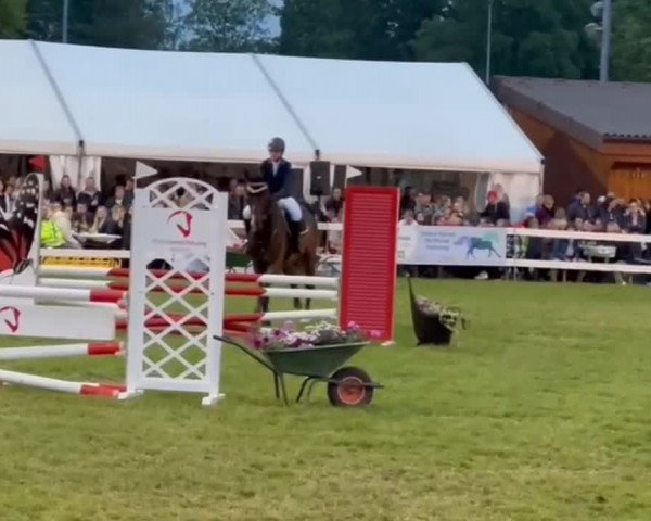 Reitturnier Aarberg 2023