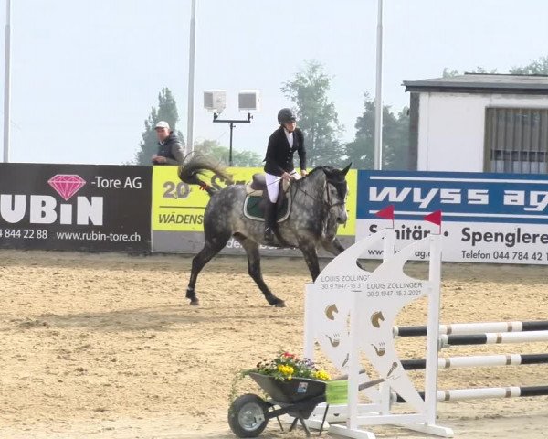 Reitturnier Wädenswil 2023