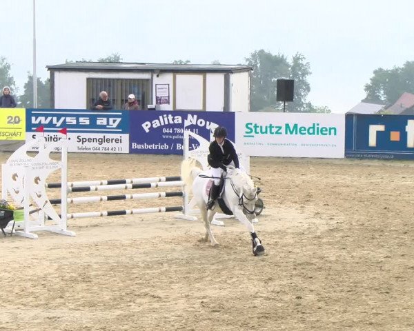 Reitturnier Wädenswil 2023