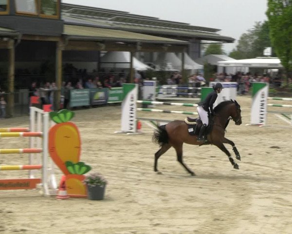 Reitturnier Hellefeld 2023