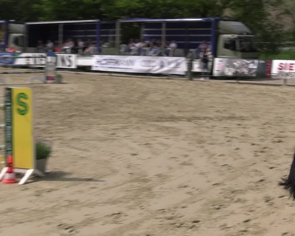 Reitturnier Hellefeld 2023