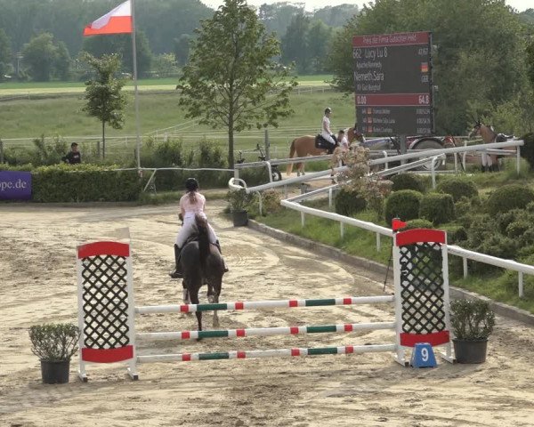 Reitturnier Bornheim Widdig 2023