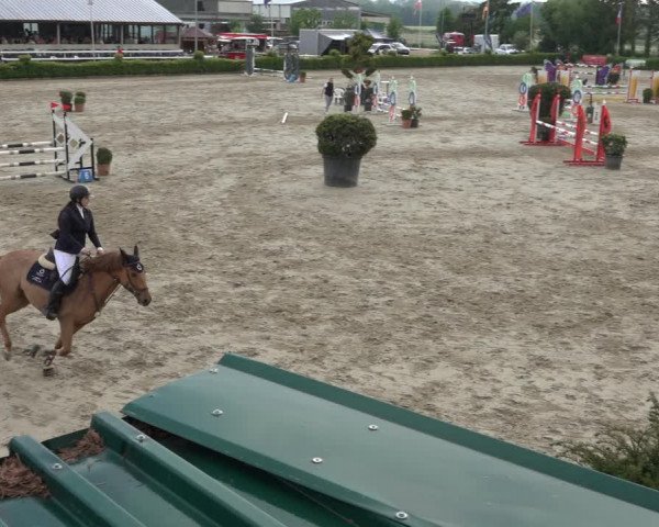 Reitturnier Bornheim Widdig 2023