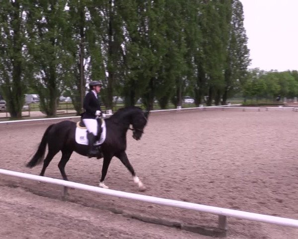 Reitturnier Hamm- Rhynern 2023