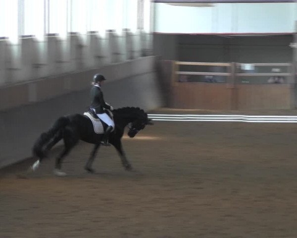 Reitturnier Kakerbeck 2023