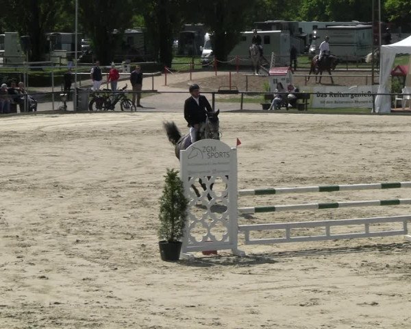 Reitturnier Hamm- Rhynern 2023