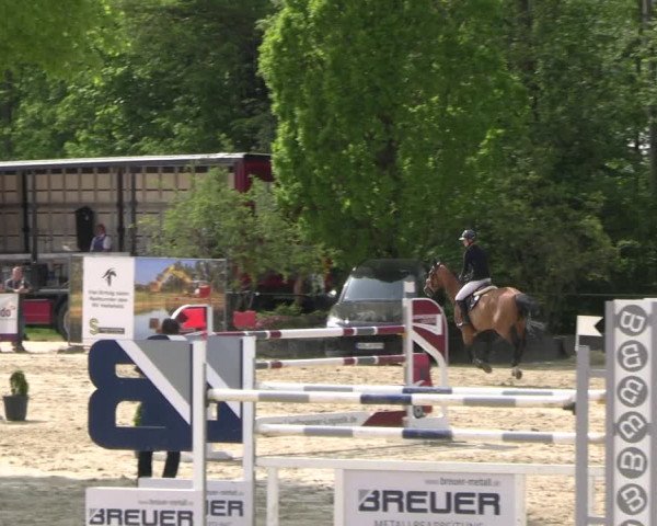 Reitturnier Hellefeld 2023
