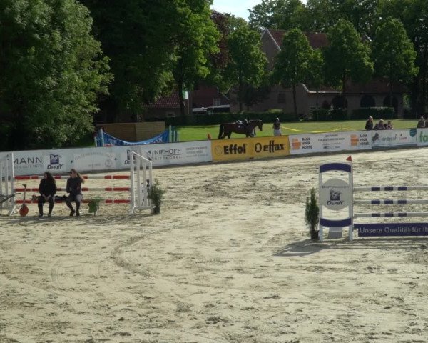Reitturnier Everswinkel 2023