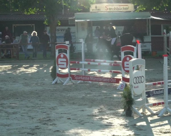Reitturnier Everswinkel 2023