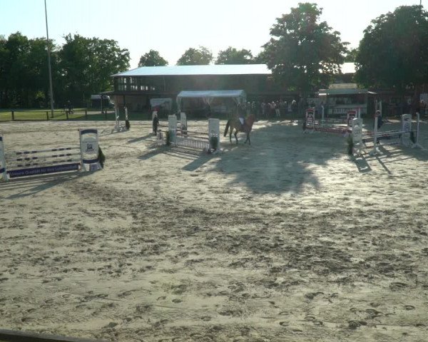 Reitturnier Everswinkel 2023