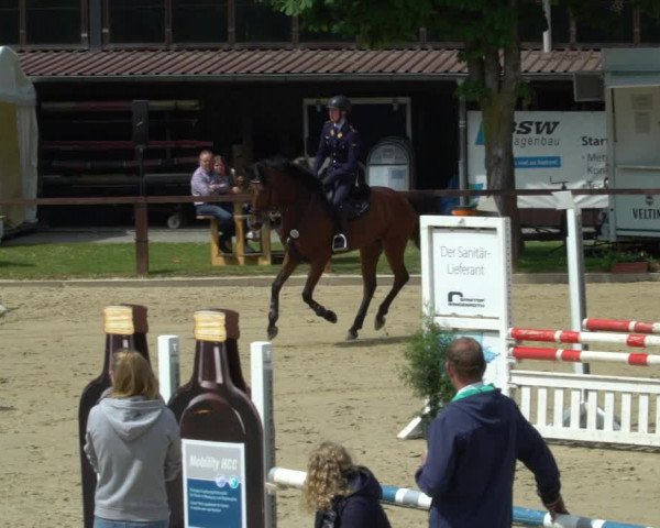 Reitturnier Everswinkel 2023