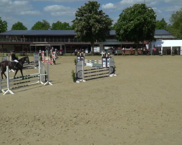Reitturnier Everswinkel 2023