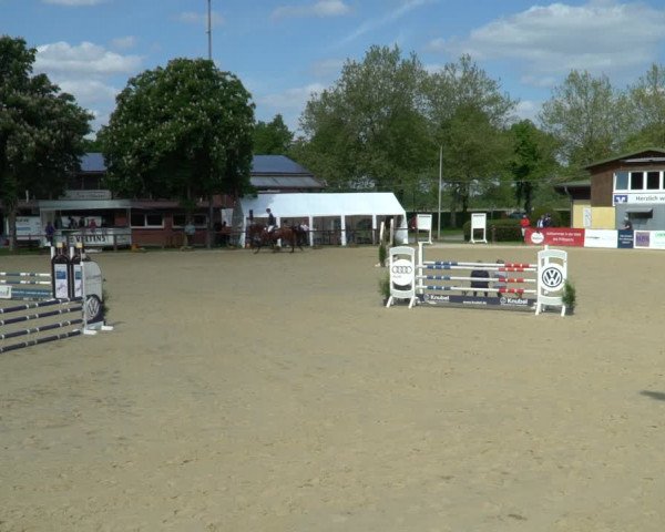 Reitturnier Everswinkel 2023