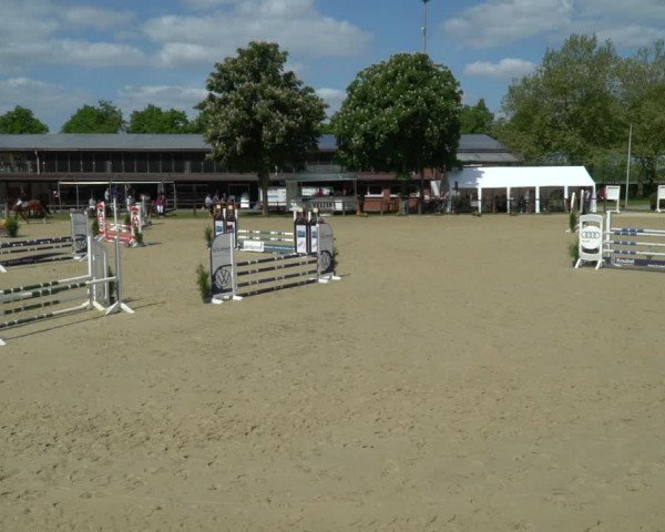 Reitturnier Everswinkel 2023