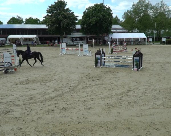 Reitturnier Everswinkel 2023