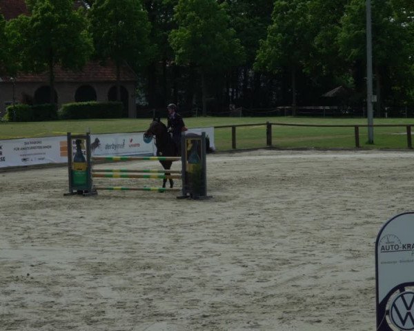 Reitturnier Everswinkel 2023