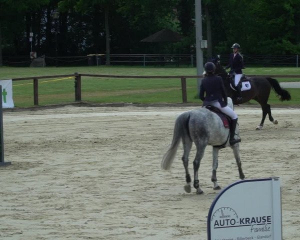 Reitturnier Everswinkel 2023