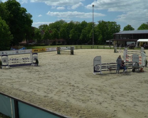 Reitturnier Everswinkel 2023
