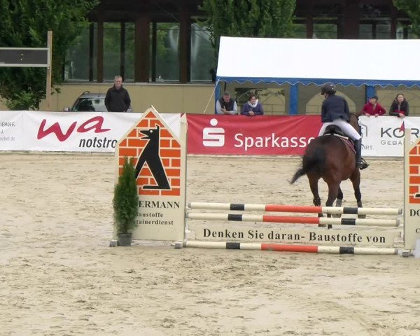 Reitturnier Everswinkel 2023