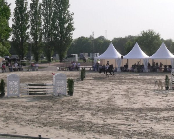Reitturnier Hamm- Rhynern 2023