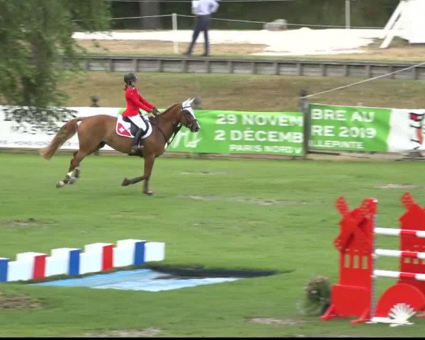 FEI Reitturnier Fontainebleau (FRA) 2018