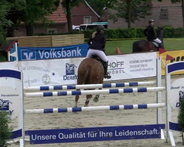 Reitturnier Everswinkel 2023