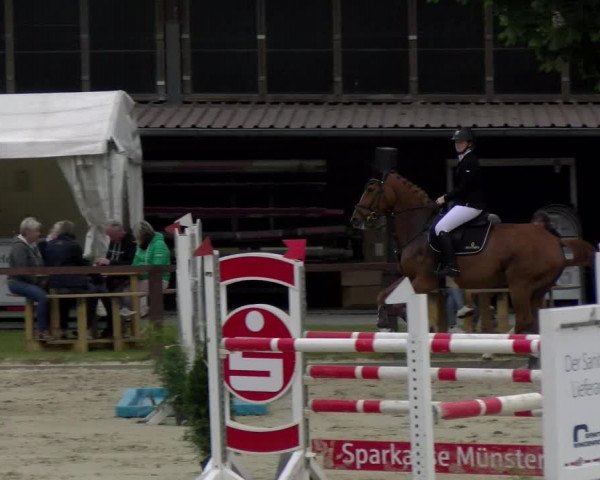 Reitturnier Everswinkel 2023
