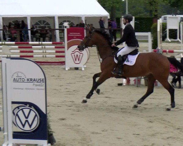 Reitturnier Everswinkel 2023