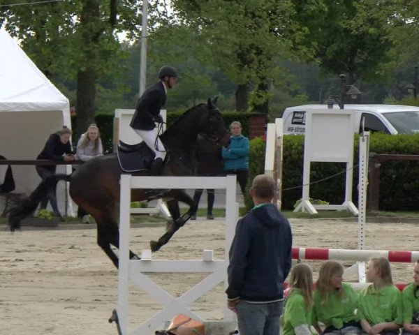Reitturnier Everswinkel 2023